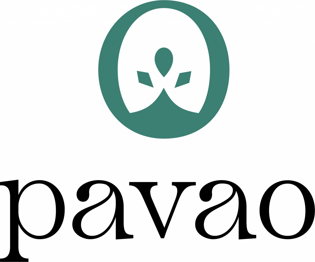 Vikam Media Designagentur Logo pavao
